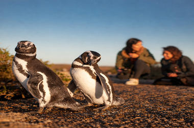 Península Valdés + Estancia San Lorenzo